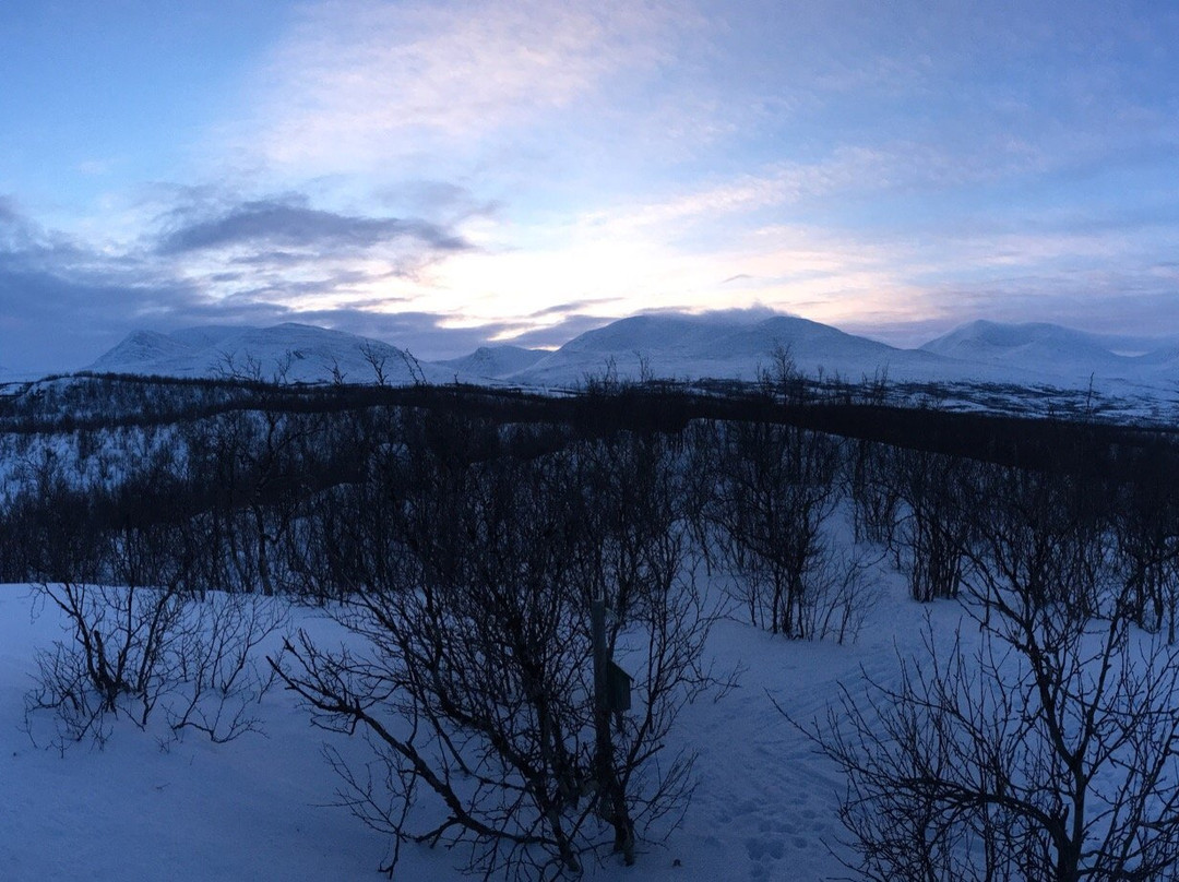Abisko Guide - Day Tours-阿比斯库必去景点