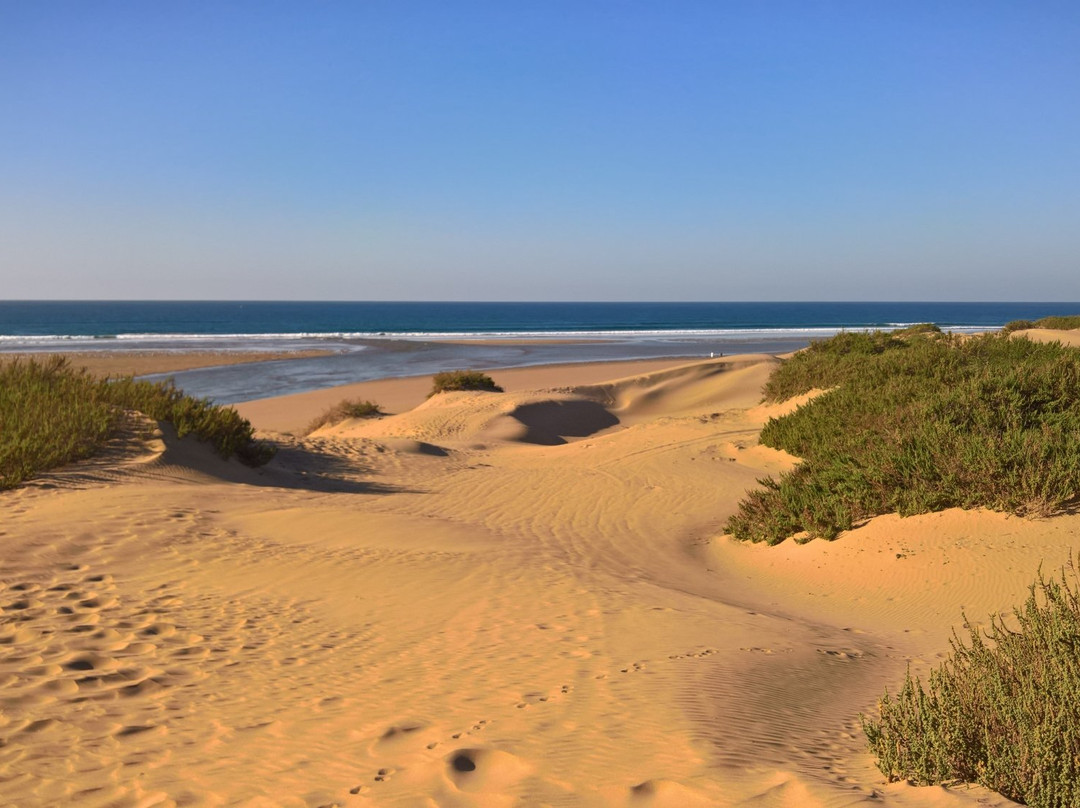 Mirhleft旅游景点-Parc Nacional de Souss-Massa