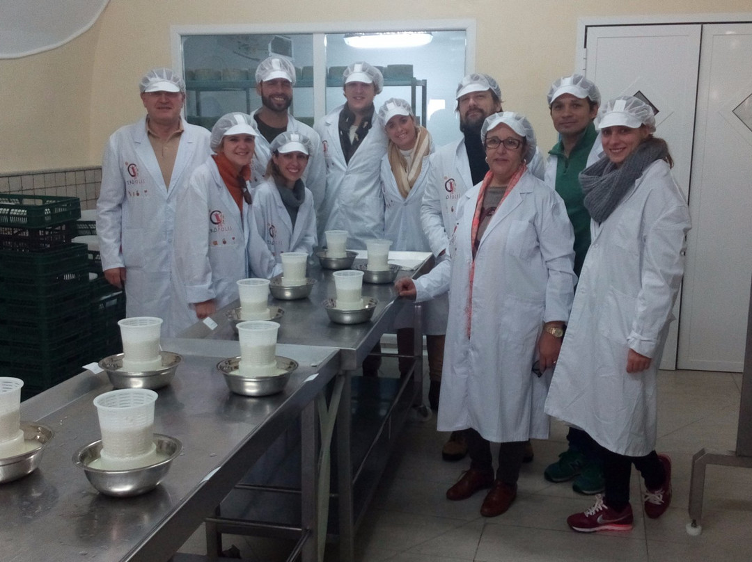 Tropolis-Alcudia de Gaudix必去景点