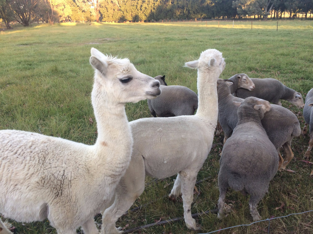 Enderslie House主图