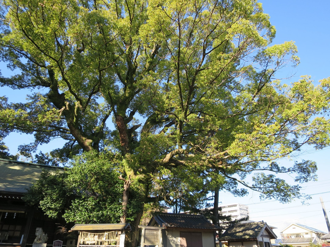 Maejima Shrine景点图片