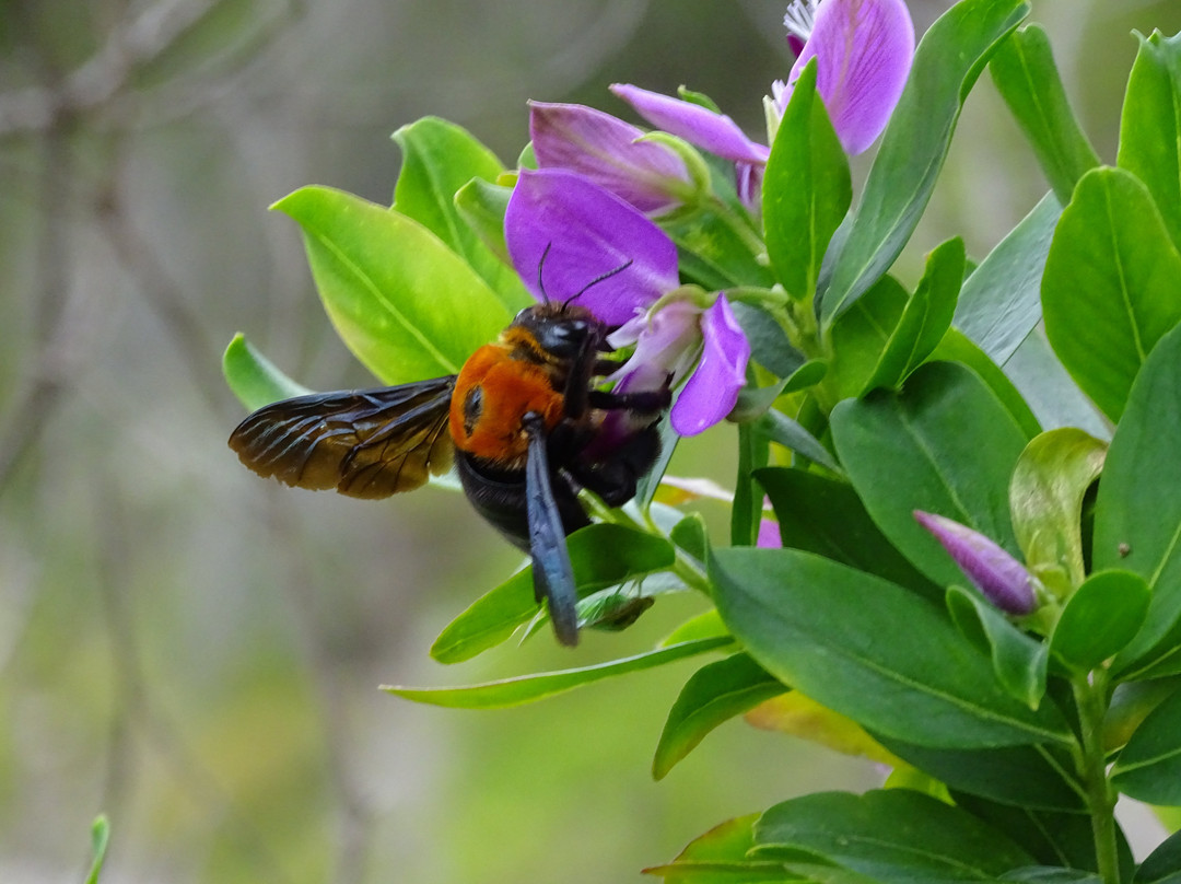 Storms River Mouth Rest Camp主图