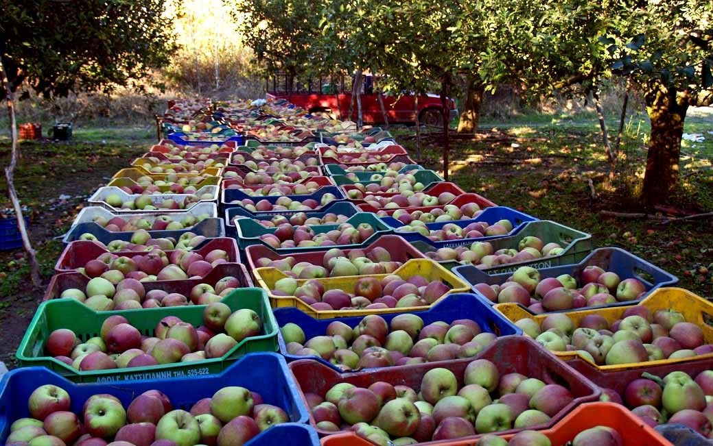 Greek Museum Zagoras-Zagora必去景点