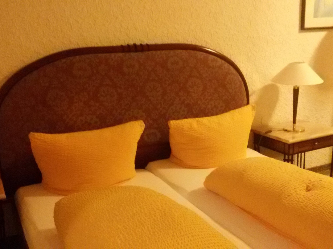 Hotel Moselkern主图