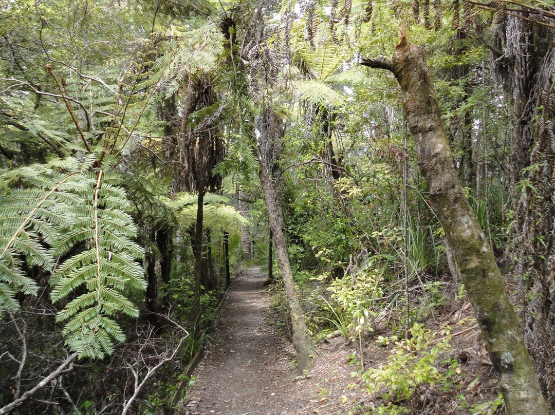 Alice Eaves Scenic Reserve-奥雷瓦必去景点