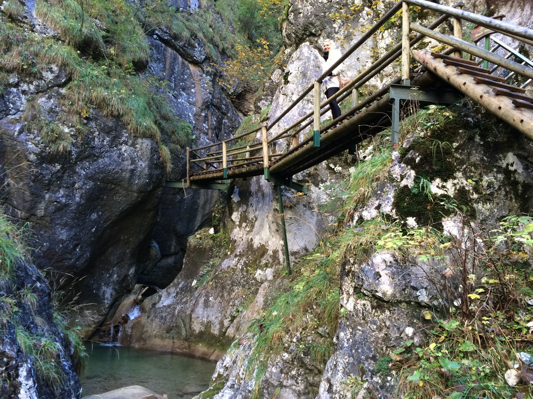 弗拉尼茨泰夏姆旅游景点-Baerenschuetzklamm