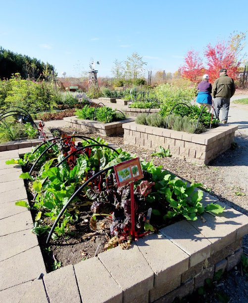 Tamarack Nature Center-White Bear Lake必去景点
