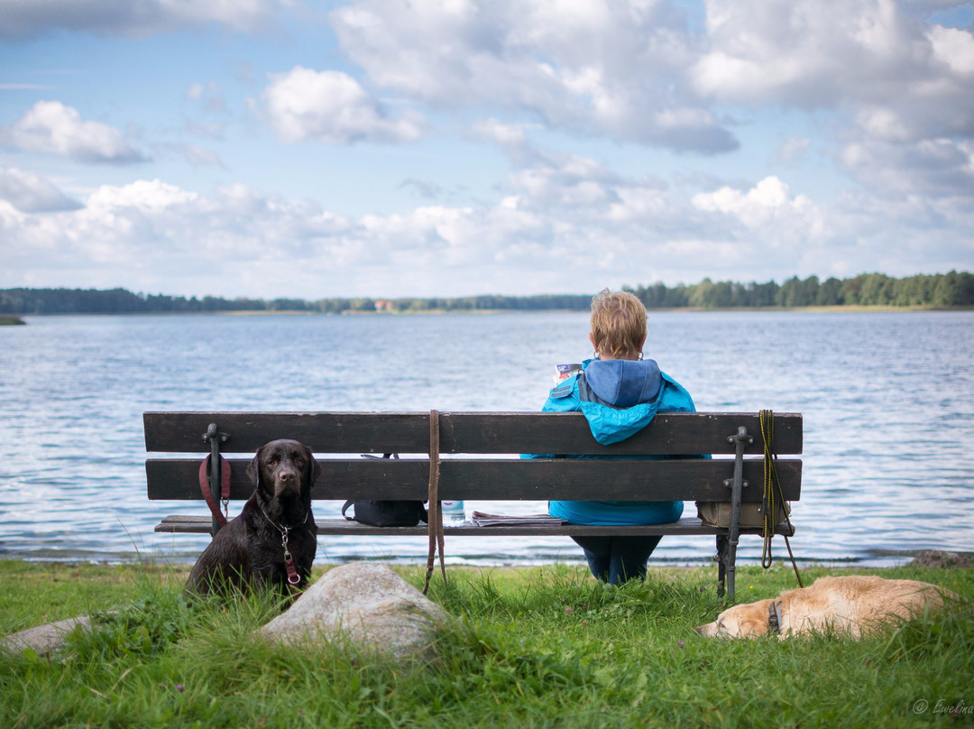 Ogonki酒店住宿-Stara Szkola w Harszu