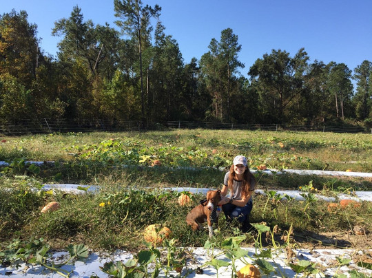 Madrac Farms-Rincon必去景点