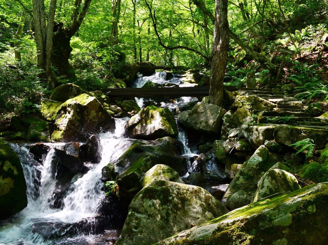 Utsueshijuhachitaki Falls Prefectural Nature Park景点图片