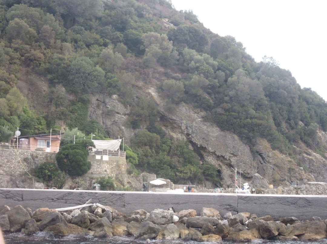 Isola Gallinara Tour-Andora必去景点