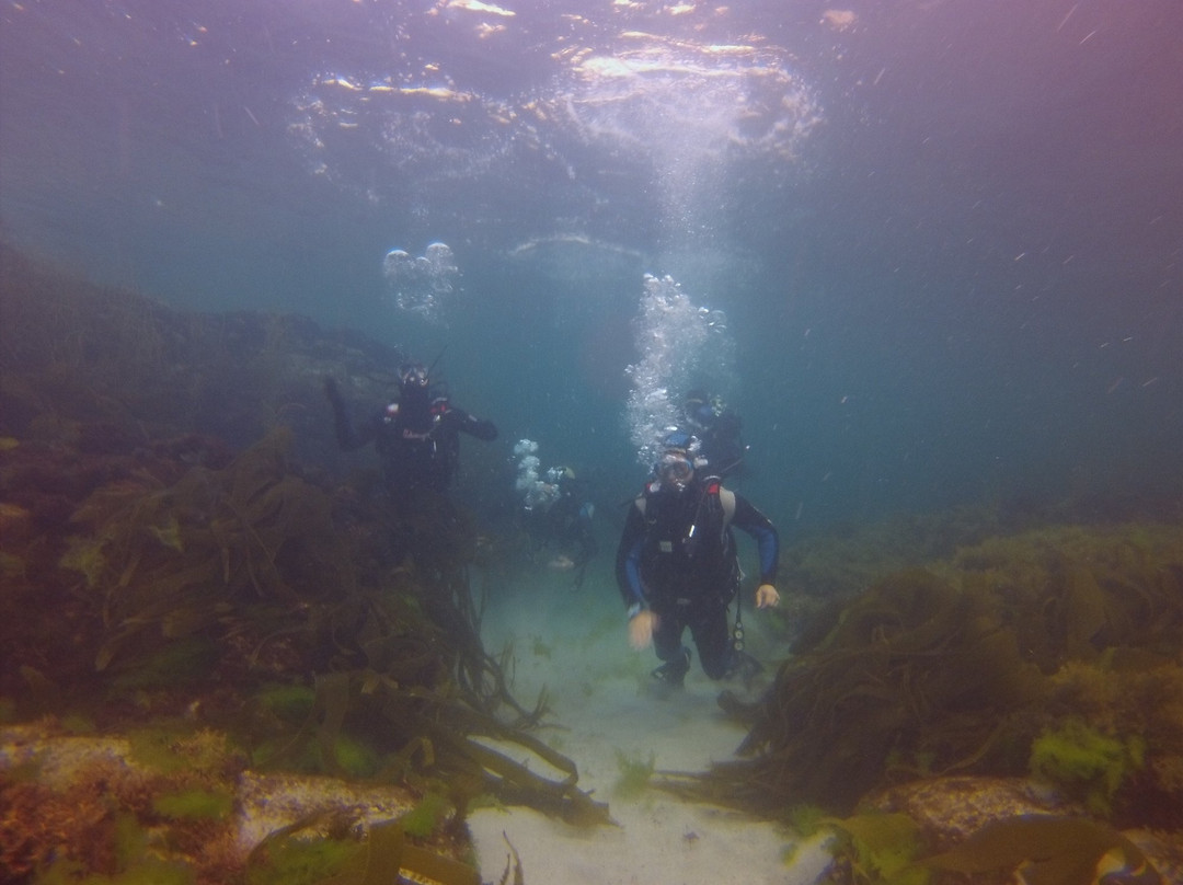 Buceo Malpica-Malpica de Bergantinos必去景点