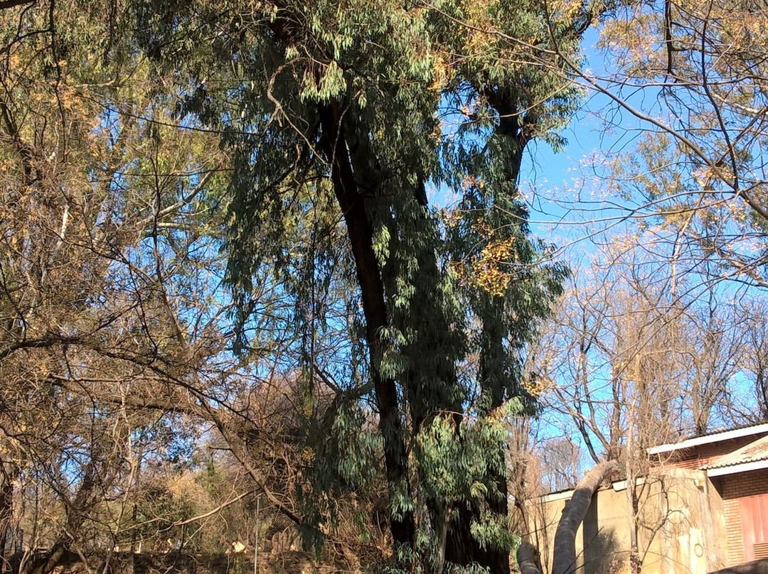 The Eye of Kuruman-库鲁曼必去景点