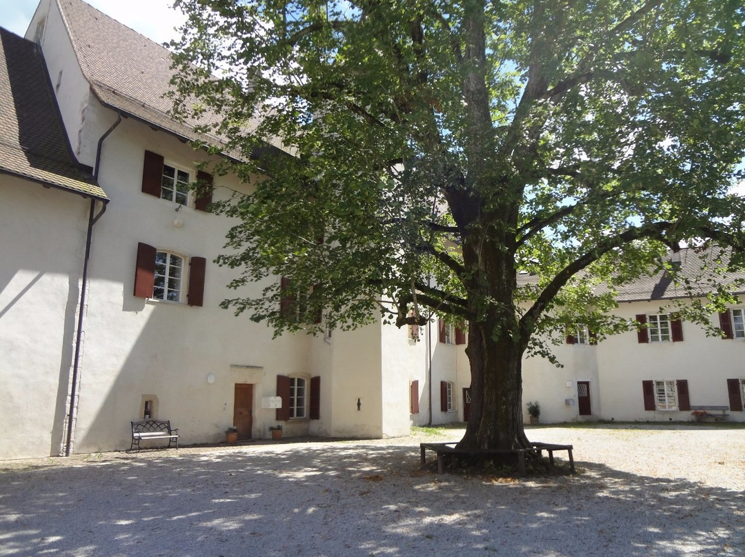 Domaine du Lowenburg-Lowenburg必去景点