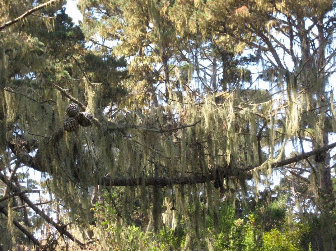 Palo Corona Regional Park-卡梅尔必去景点