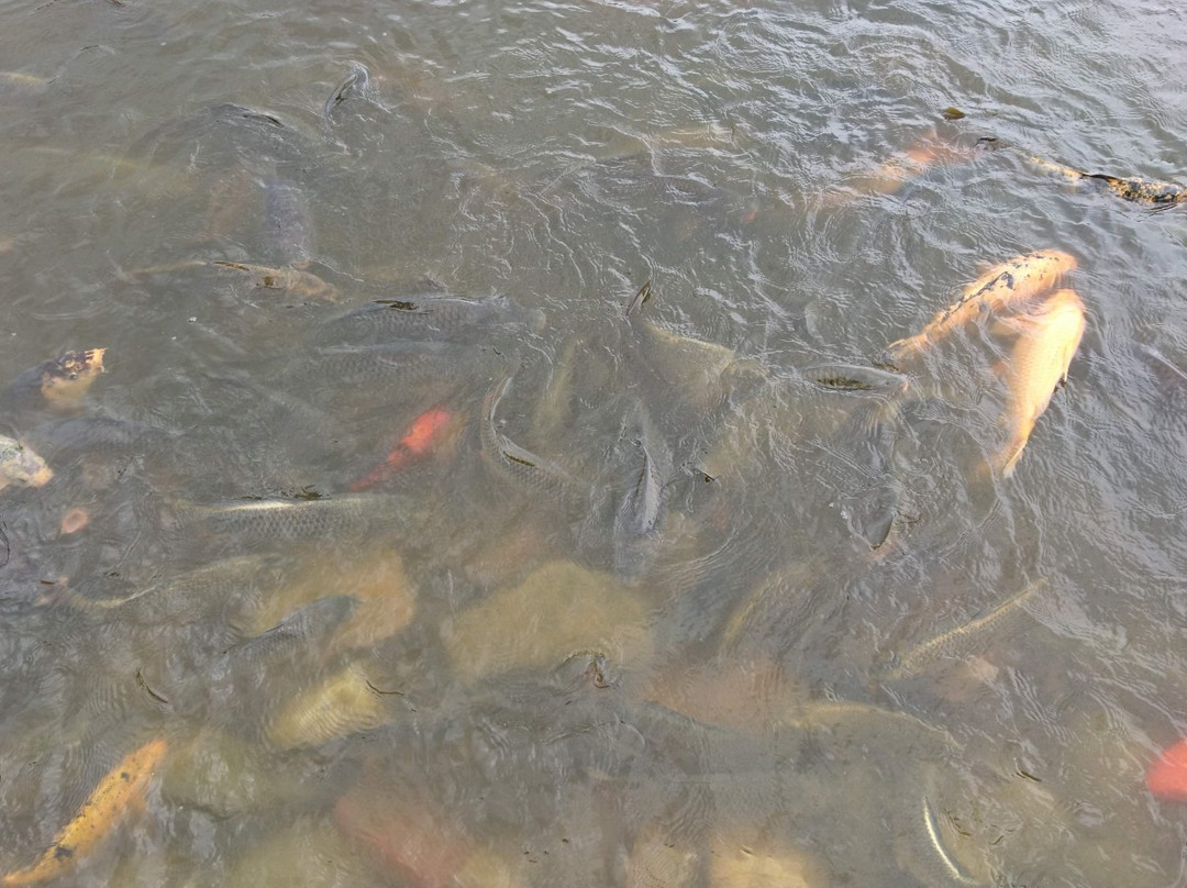 Taudaha Lake-加德满都必去景点