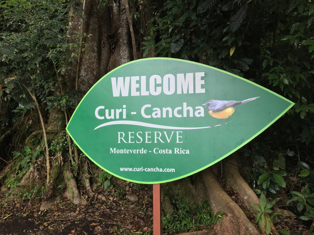 Curi Cancha Reserve景点图片