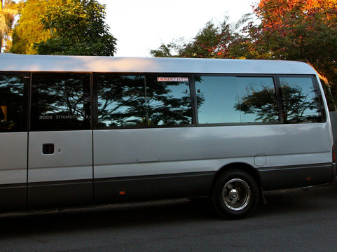 Tic Tac Tours And Charters-布里斯班必去景点