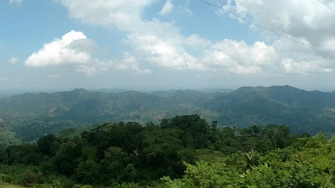 Cerro La Cansona景点图片