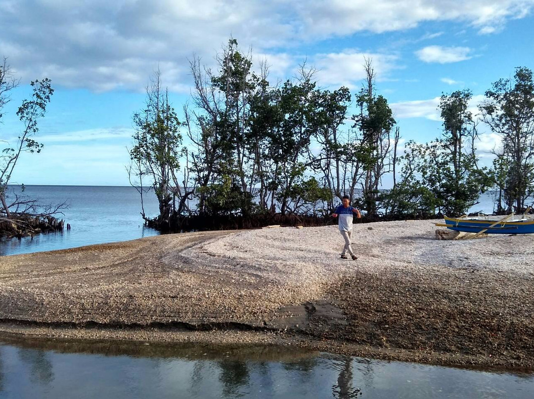 Ekowisata Pasir Panjang Pantai Kahona景点图片