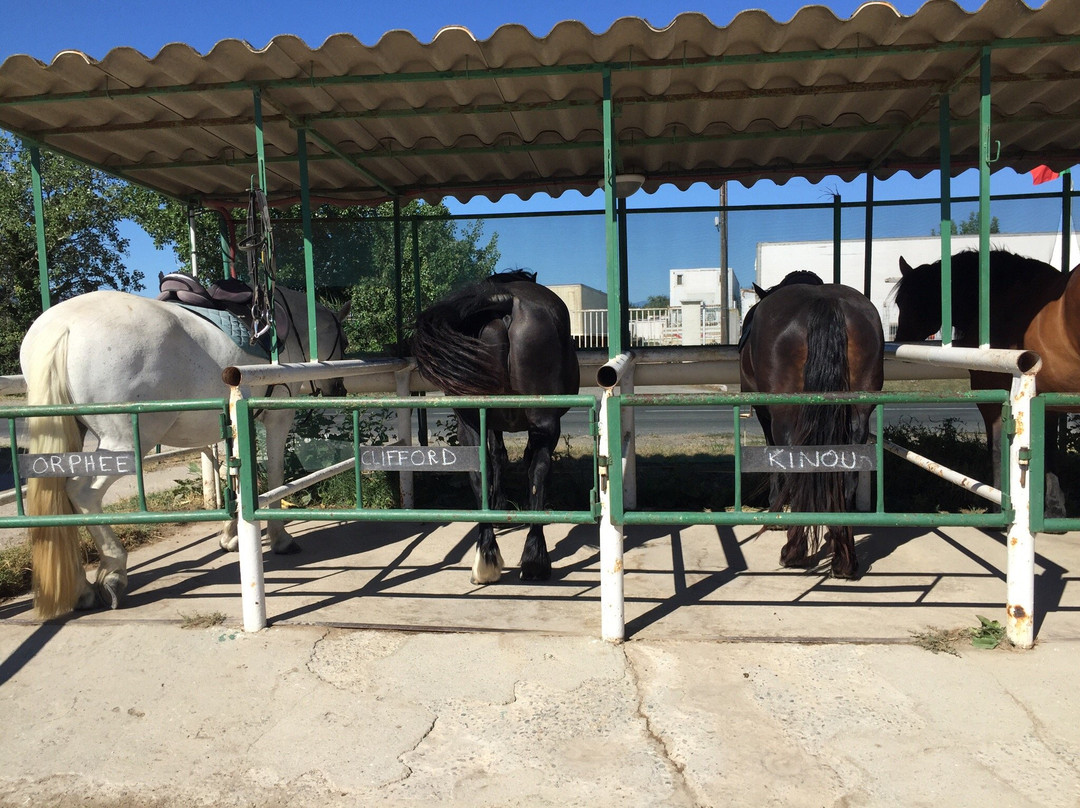 Le Cheval Andalou景点图片