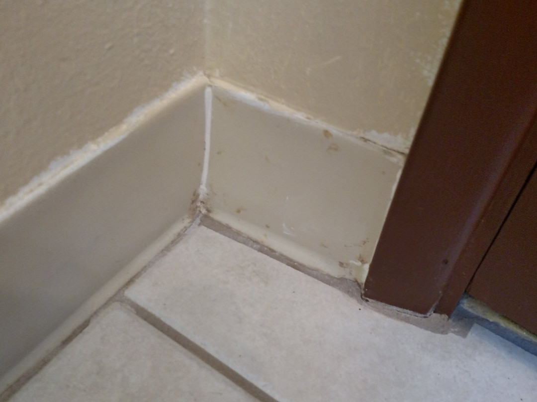 蒙特萨诺酒店住宿-Econo Lodge Inn & Suites