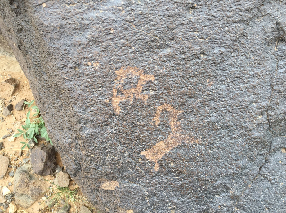 Khavtsgait Petroglyphs-Gobi Gurvansaikhan National Park必去景点
