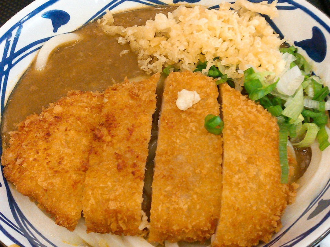 Marugame Udon & Tempura