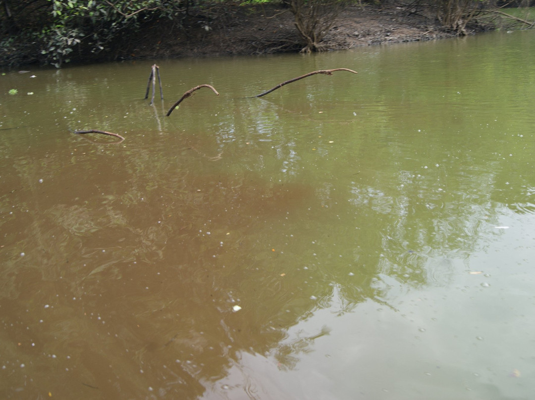 Momon River景点图片