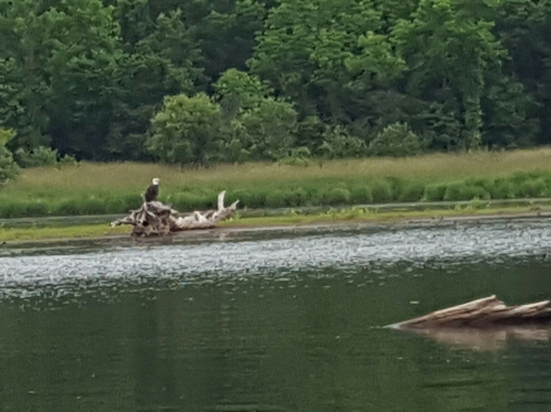 Eric's Canoe & Kayak Rental-Taylors Falls必去景点