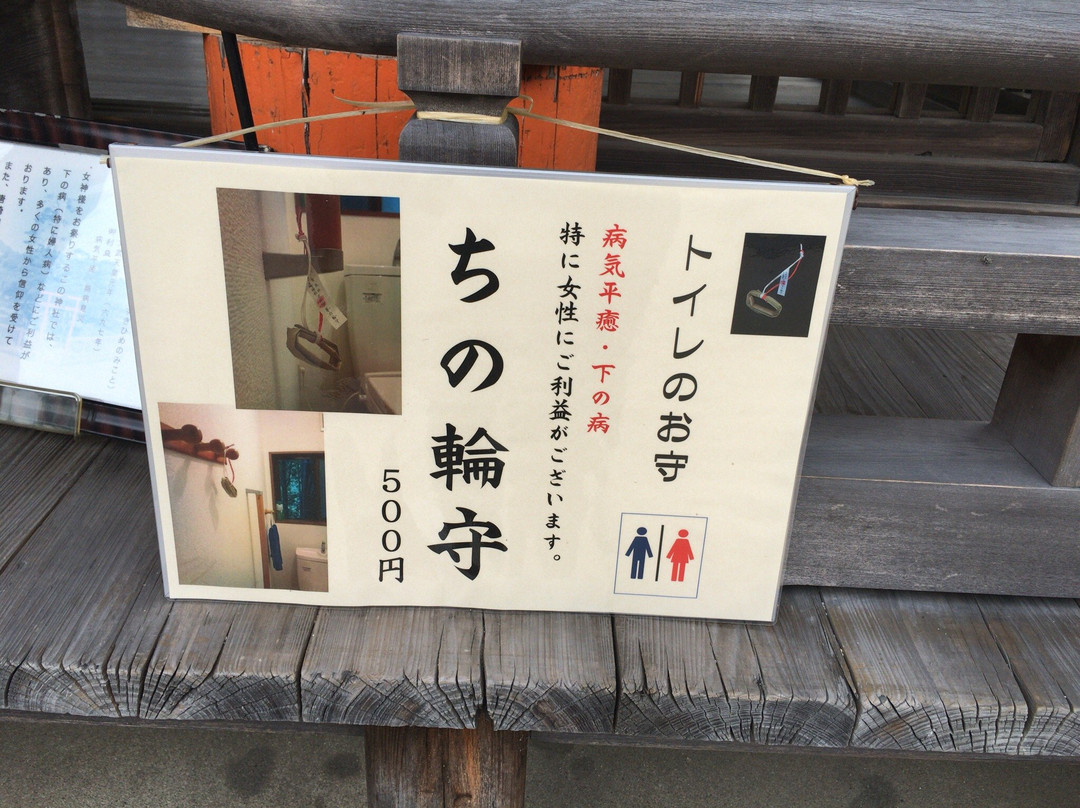 Karasaki Shrine-大津市必去景点