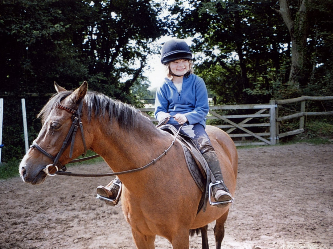 Crosswell Riding Stables-Crymych必去景点