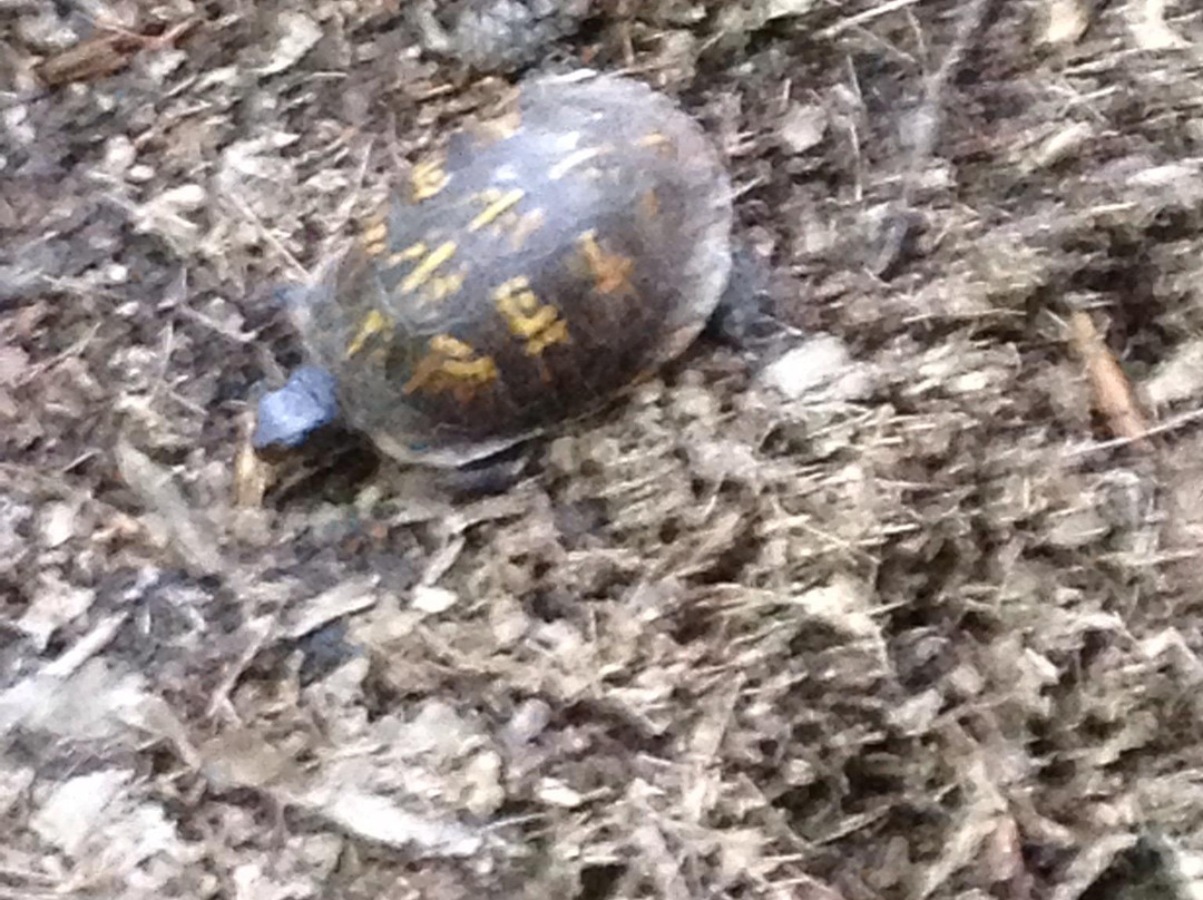 Fort Mountain Stables-Chatsworth必去景点