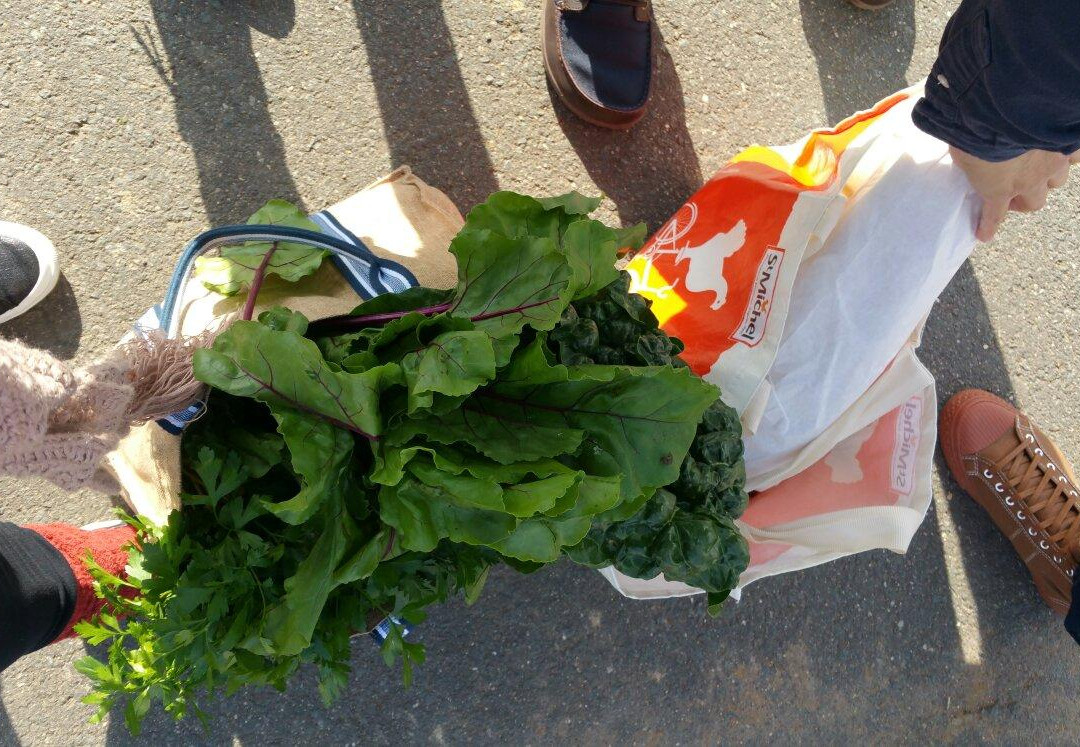 Capital Region Farmers Market-堪培拉必去景点