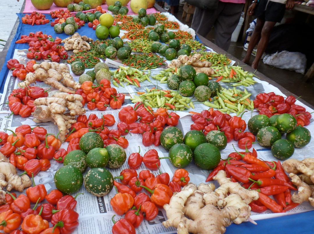 Savusavu Farmers' Market-萨武萨武必去景点