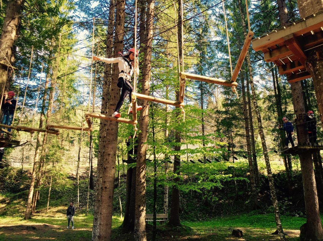 Dolomiti Adventure Park景点图片