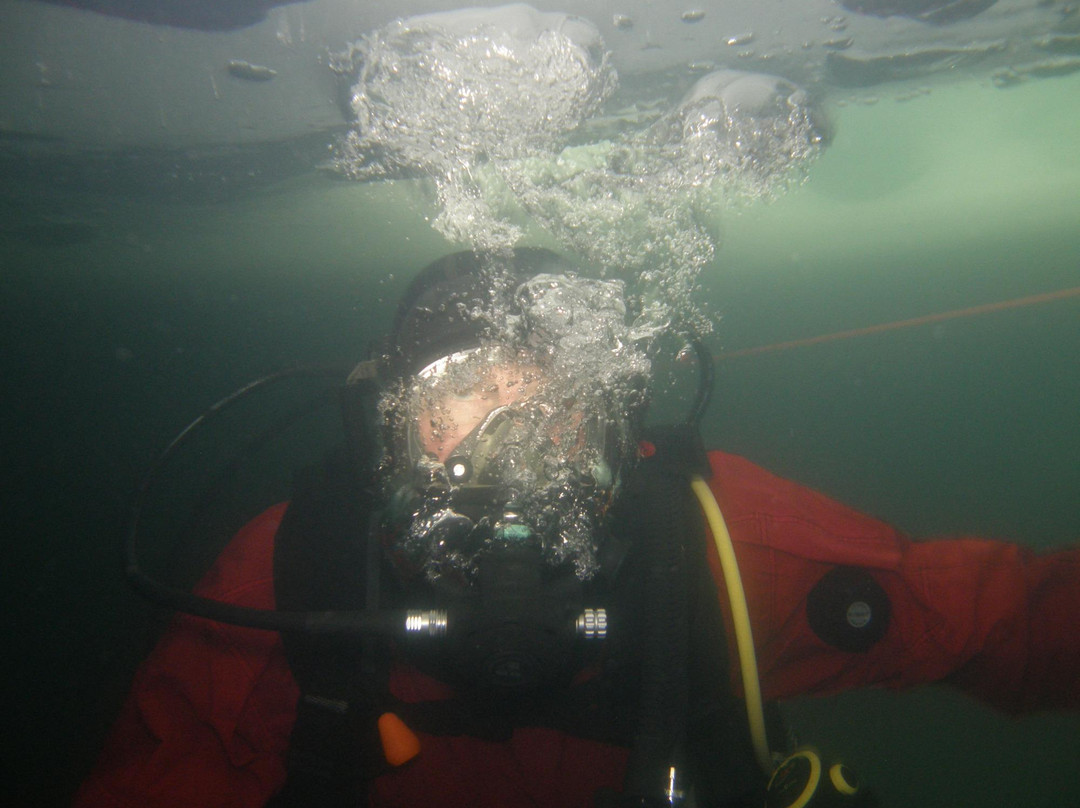 Dive Extreme景点图片
