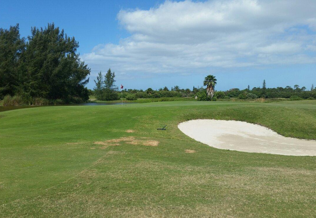 The Reef Golf Course-弗里波特必去景点