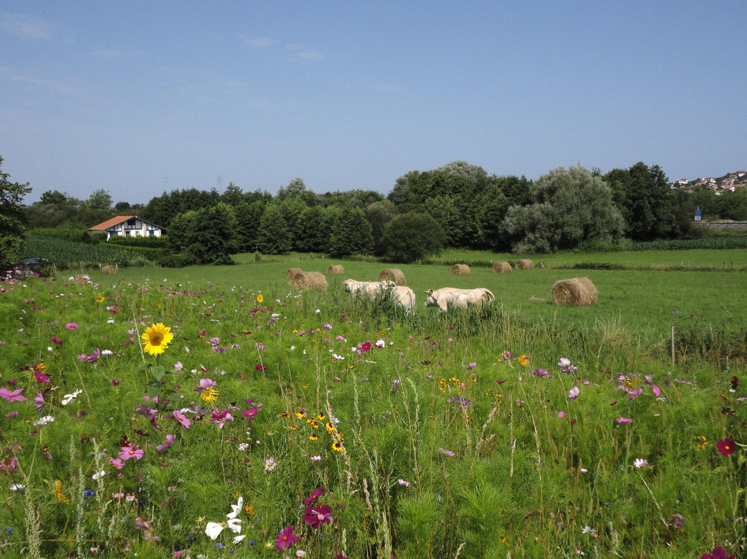 Les Couteliers Basques-Bidart必去景点