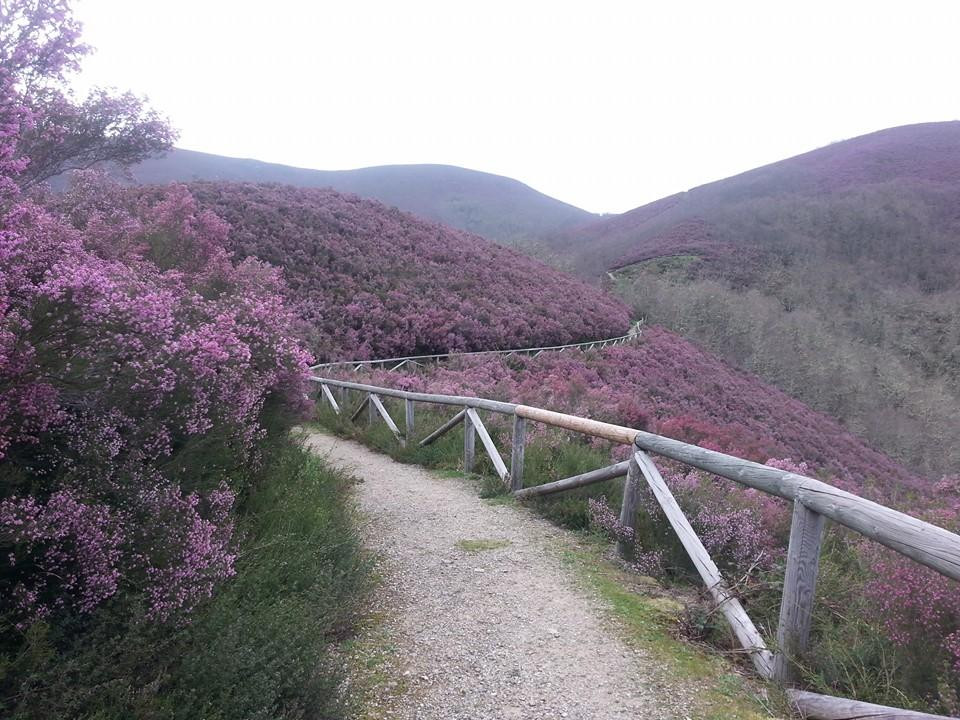 GreenDoor Asturias-Pola de Allande必去景点