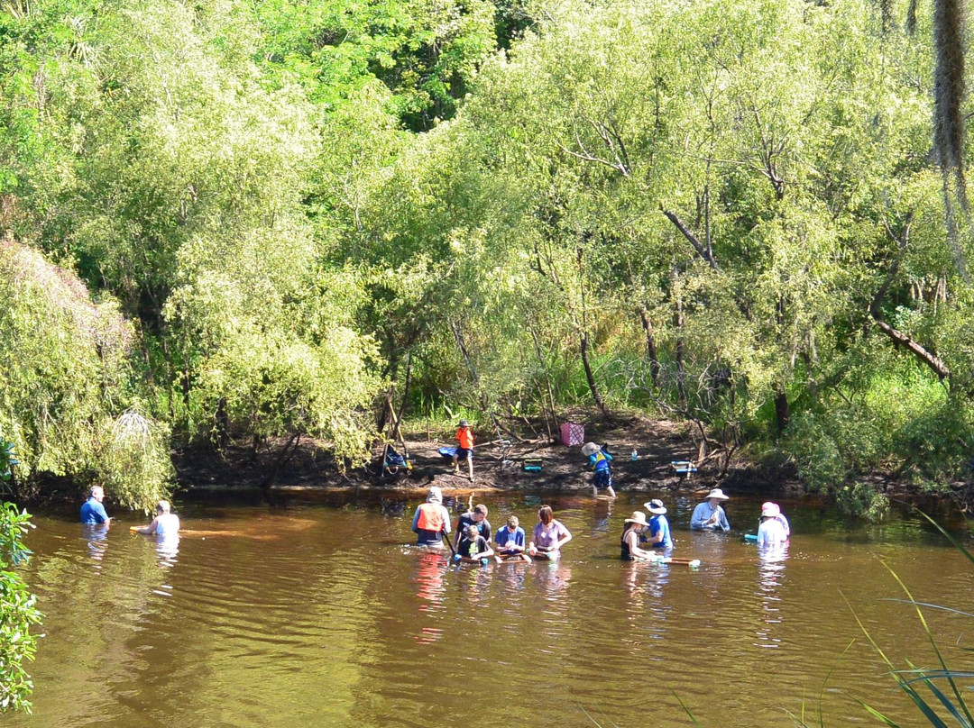 Brownville Park-阿卡迪亚必去景点
