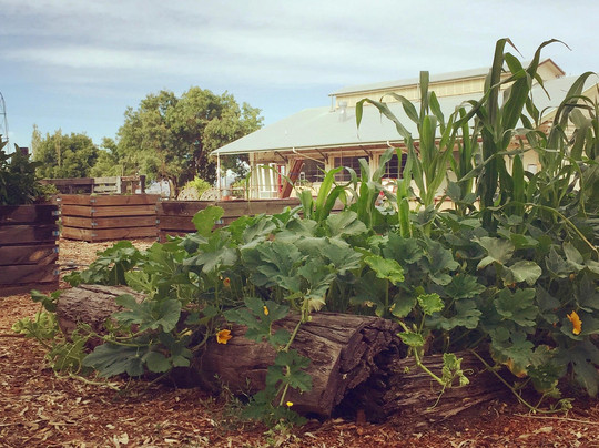 King Valley Dairy-Moyhu必去景点