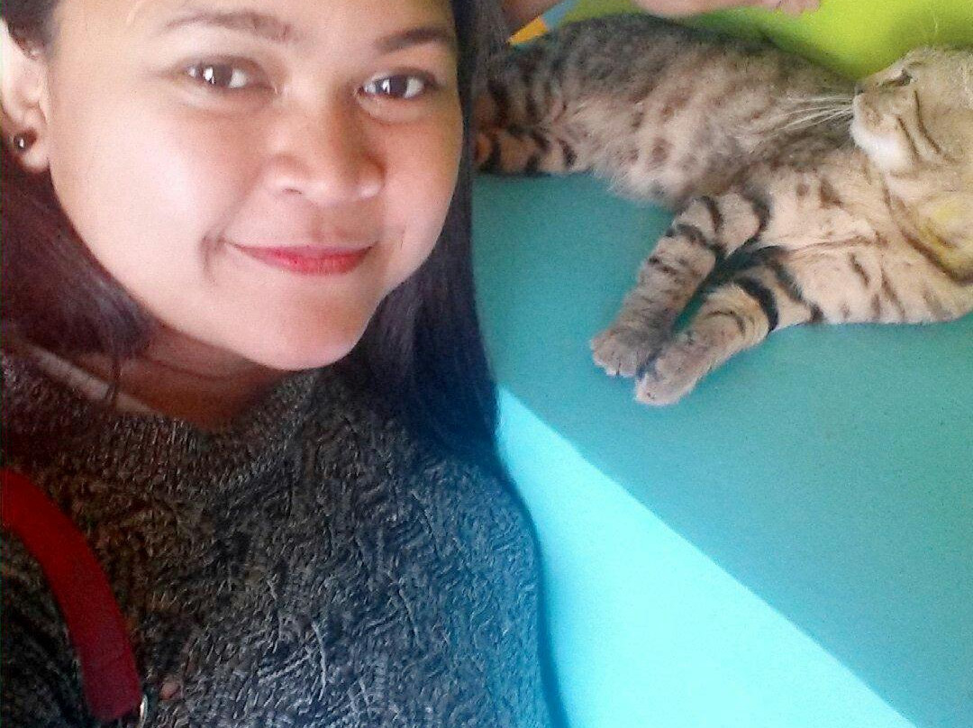 The Country Cat Cafe-波德申必去景点