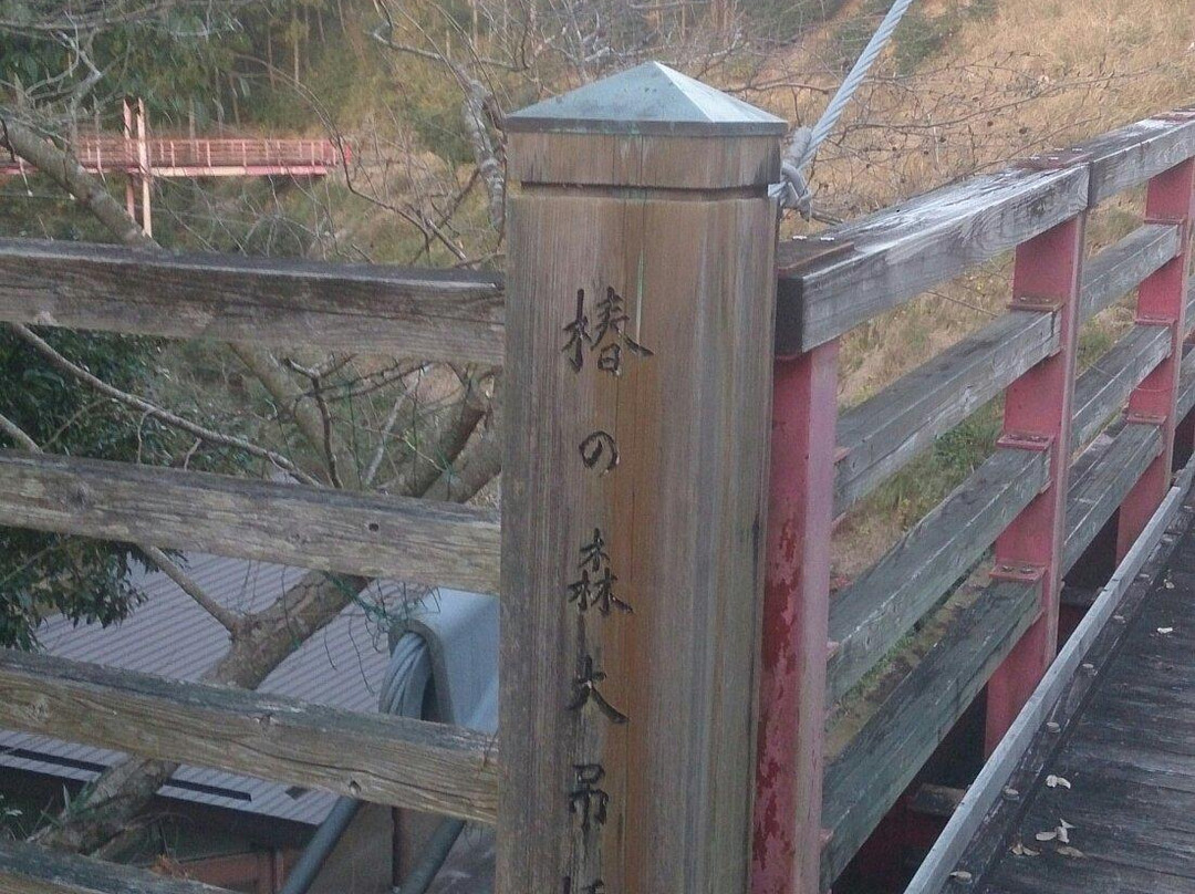 Tsubaki Park-夷隅市必去景点