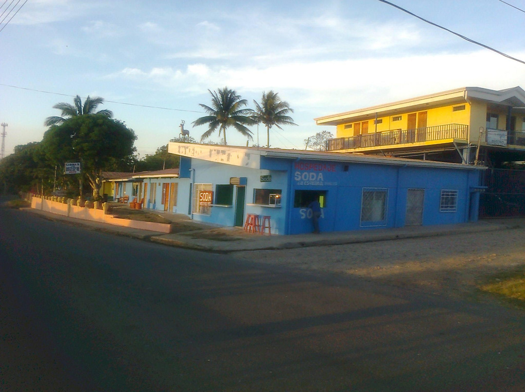 Cabinas La Primavera