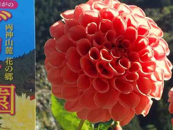 Ogano Town Tourism&Interaction Hall-小鹿野町必去景点