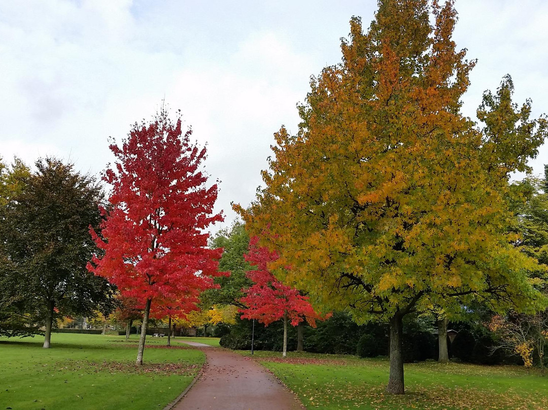 Stadtpark Uerdingen景点图片