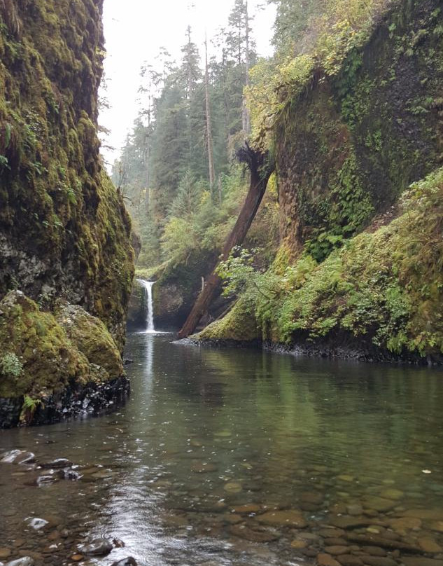 Lower Punchbowl Falls-Cascade Locks必去景点