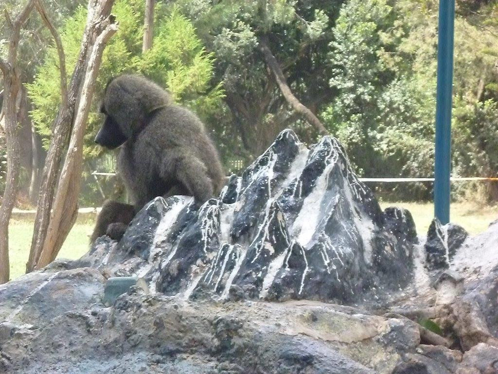 班图山旅馆