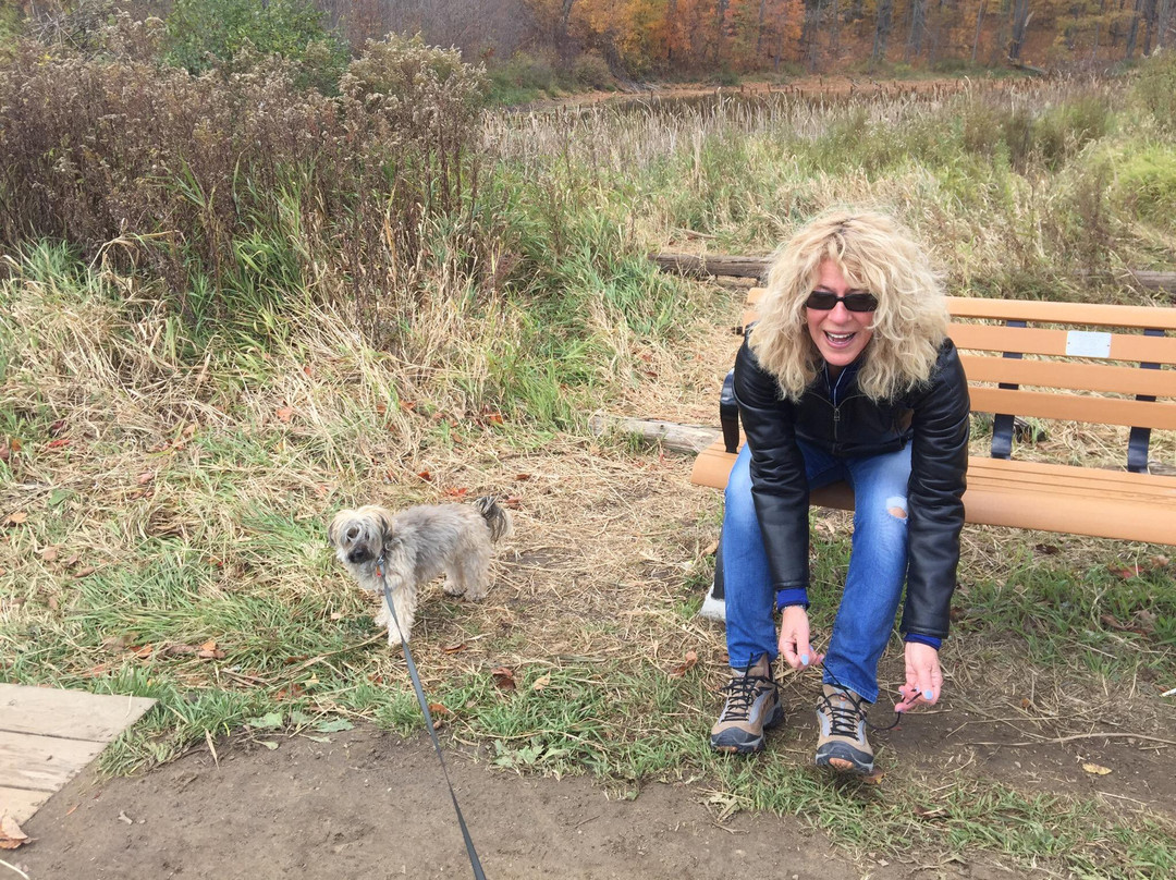 Forks of the Credit Scenic Road-卡利登必去景点